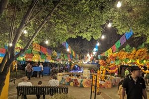 PXL_20221016_021700524